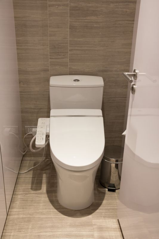 Modern Toilet with Bidet Functionality